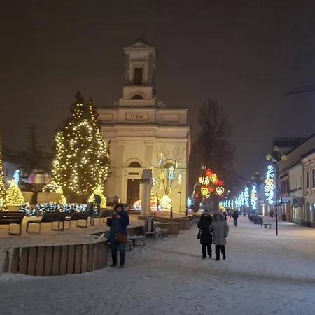 Tatra Palace Hill With Angels And Sauna